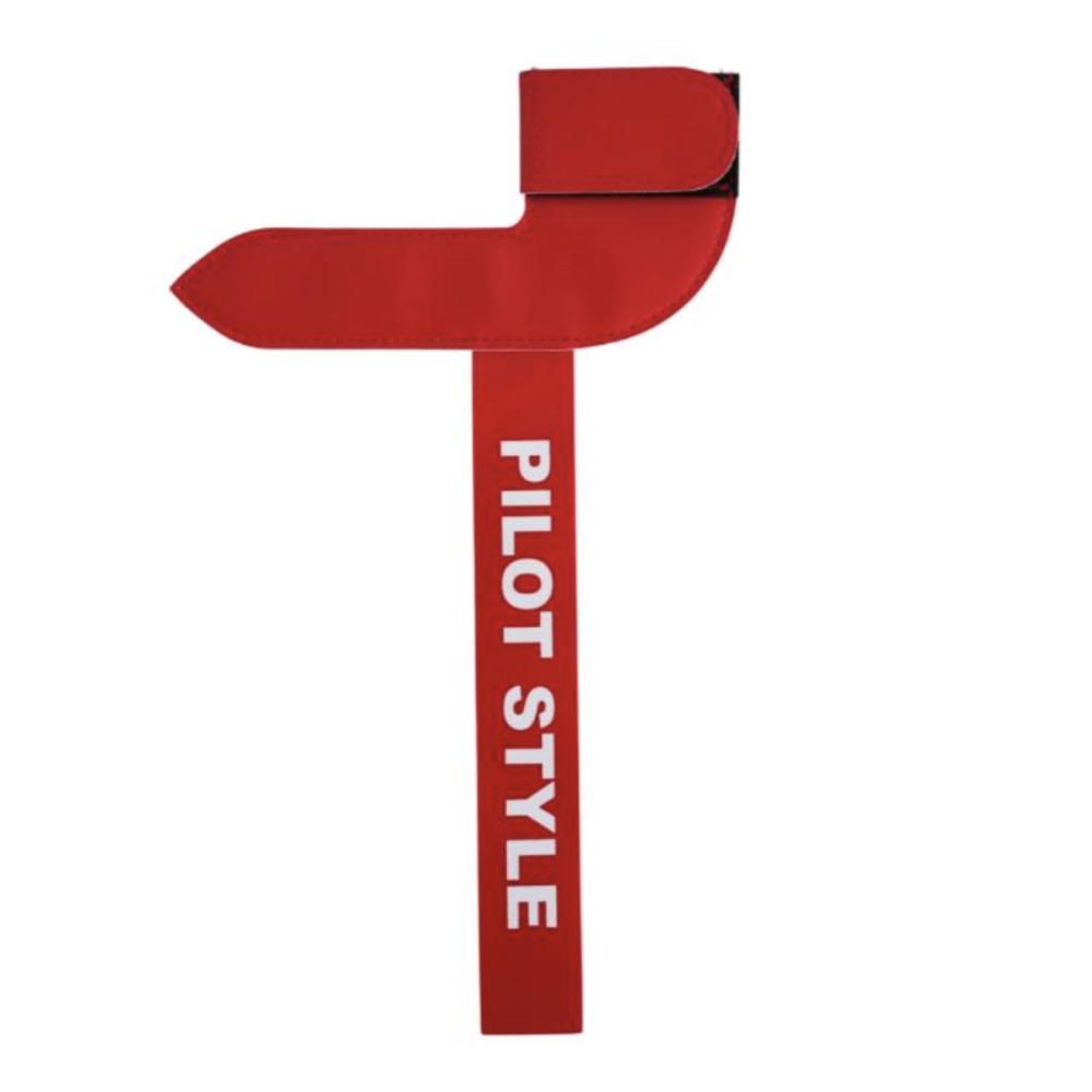 Protection pour pitot